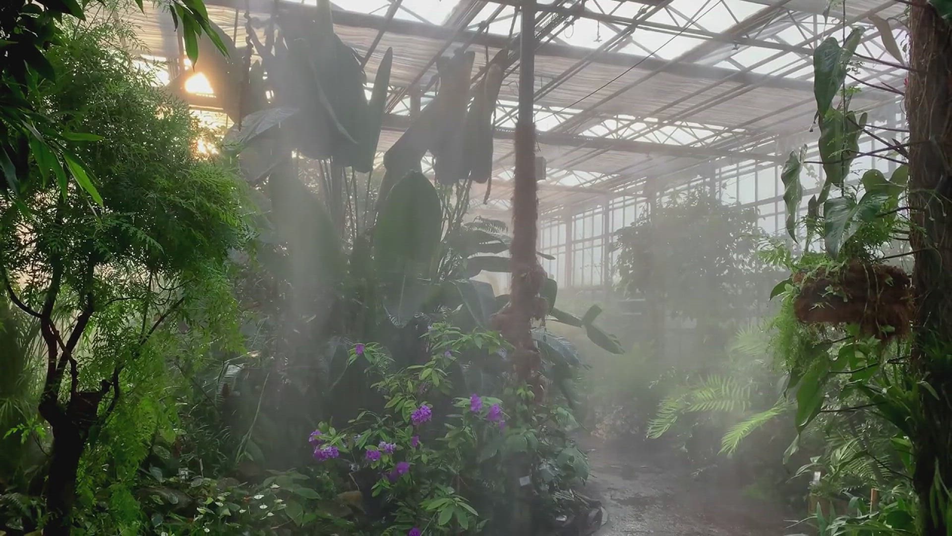 'Video thumbnail for Common Vegetable Gardening Mistakes You Must Avoid'