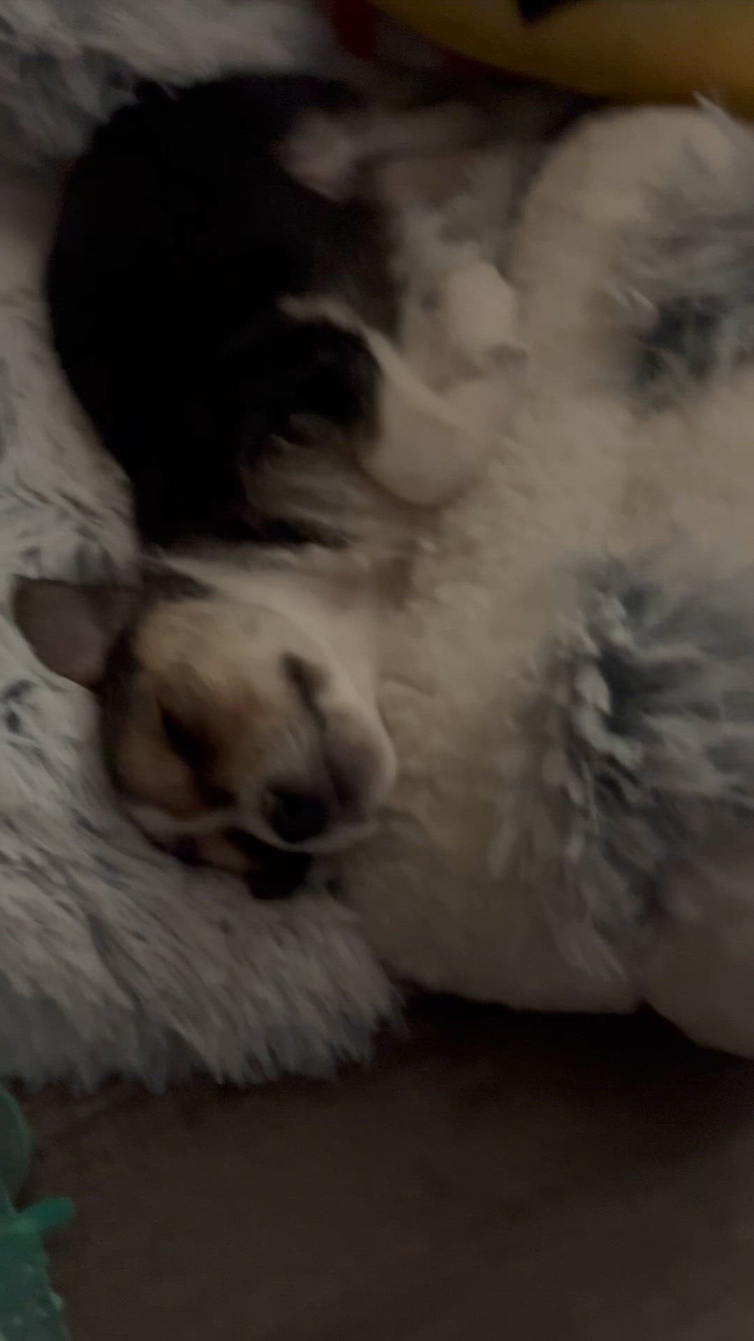 AND NOW!… Snickers