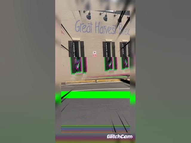 Video thumbnail for Great Harvest Bread Co... N.C.