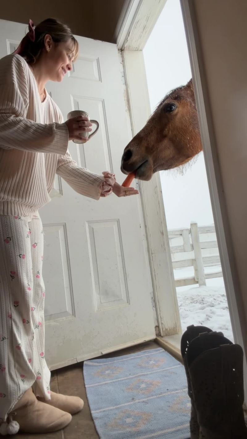 Video thumbnail for Cozy Ranch Morning as a Horse Knocks at the Door