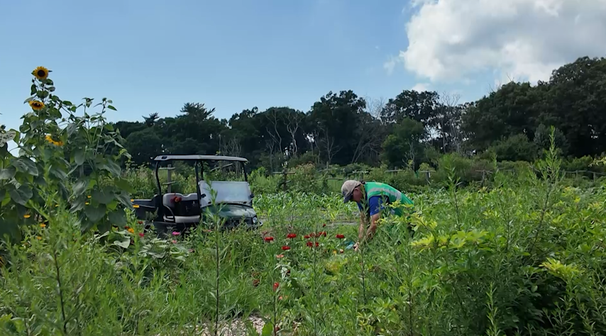Video thumbnail for He retired from the city. Now he farms to feed Long Islanders in need