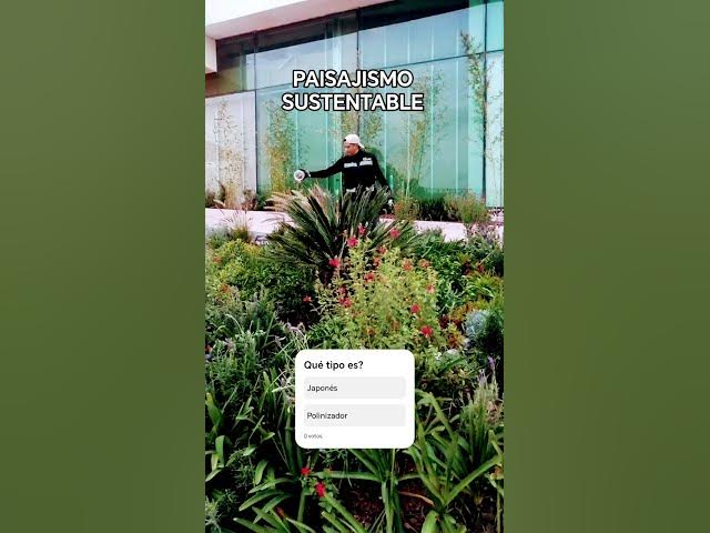 Video thumbnail for 🔥Diseñamos tu JARDÍN. Paisajismo México Plakarq Shop. #jardineria #paisajismo #plakarqshop