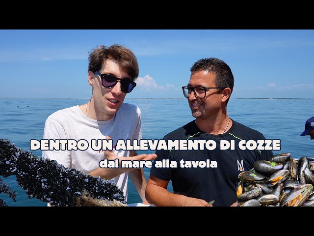 Video thumbnail for Come si allevano le COZZE? 🦪 Un giorno tra i mitili, uscita in barca e degustazione