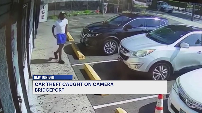 Video thumbnail for UB nursing student says 'routine car theft' quickly turned into 'nightmare'