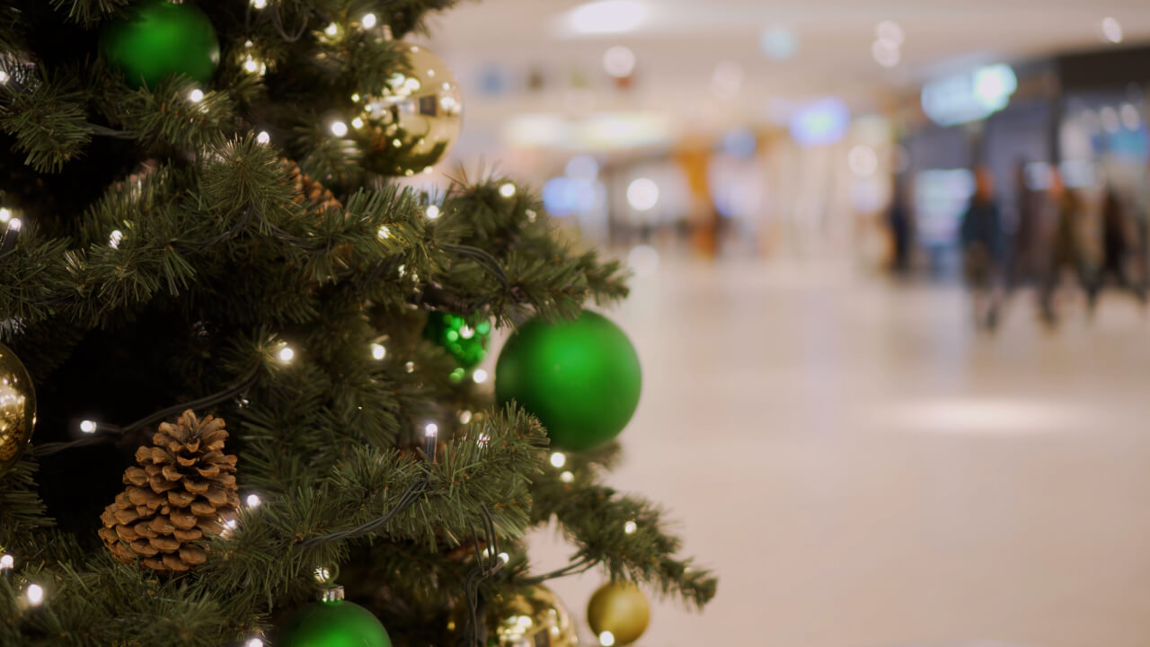 Video thumbnail for How Trump’s tariffs have spiked the cost of Christmas trees