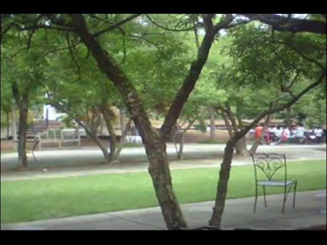 Video thumbnail for Birmingham Botanical Garden