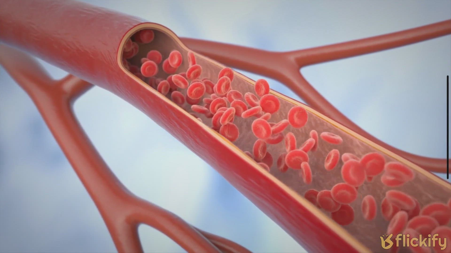 Video thumbnail for Do Omega-3 Supplements Help Your Eyes?