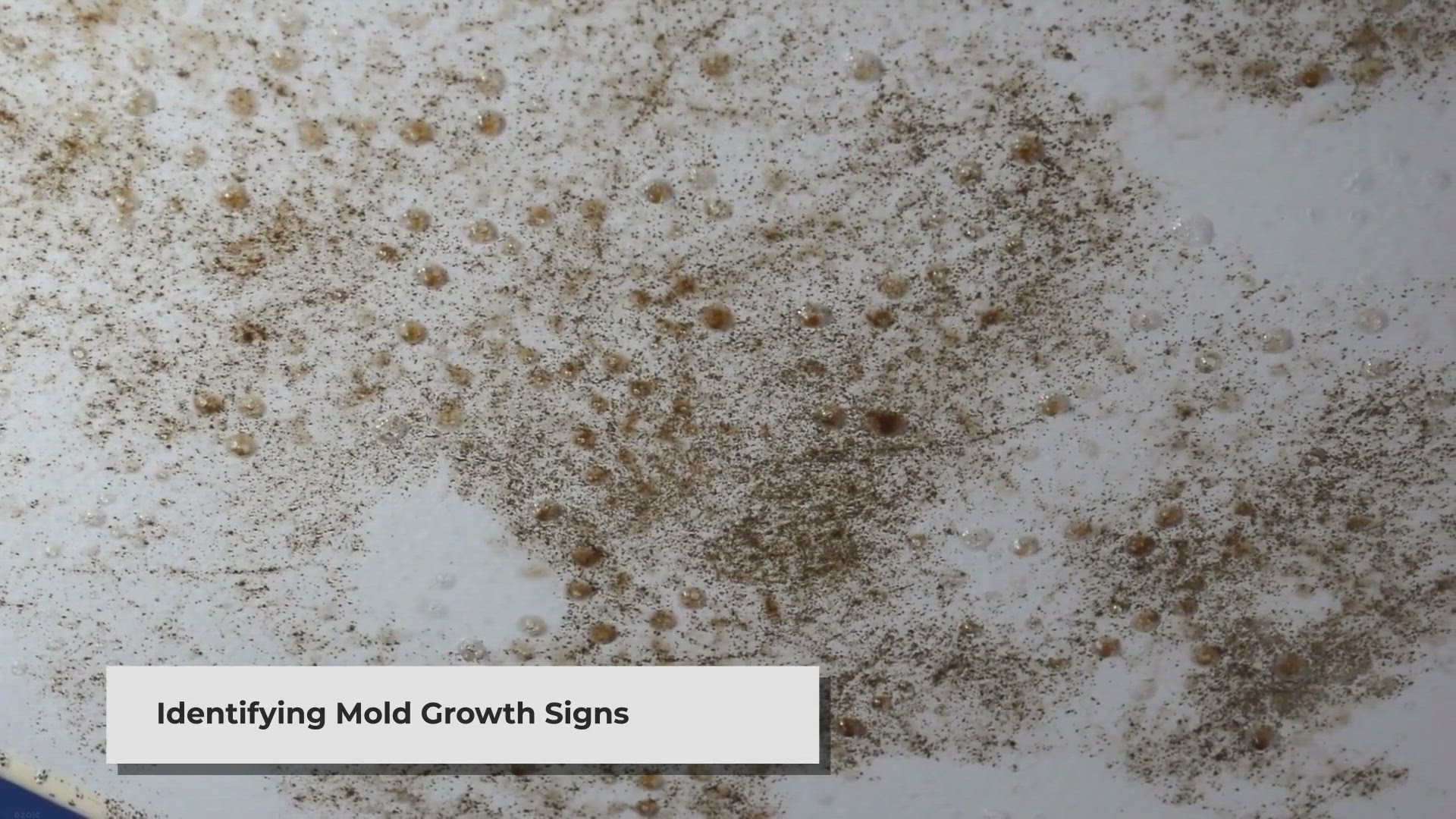 Video thumbnail for How to Remove and Kill Mold
