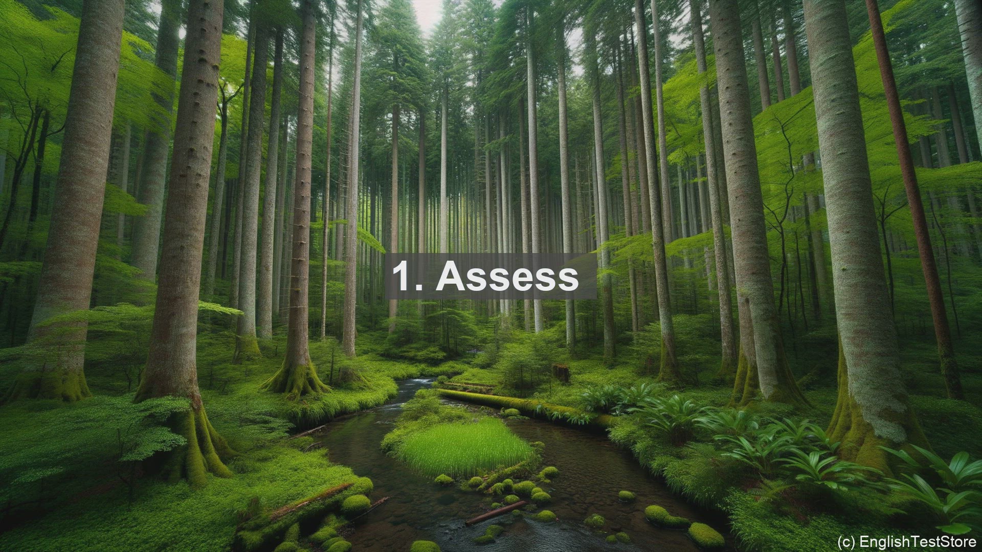 'Video thumbnail for Top 10 English Verbs for Welfare Eligibility Workers and Interviewers'