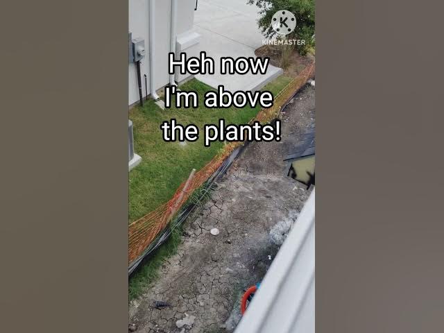 Video thumbnail for Random Thoughts: Humble Abode