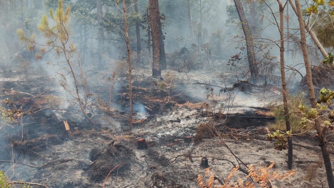 Video thumbnail for France: Wildfire continues to spread in France’s Gironde department​​​​​​​.