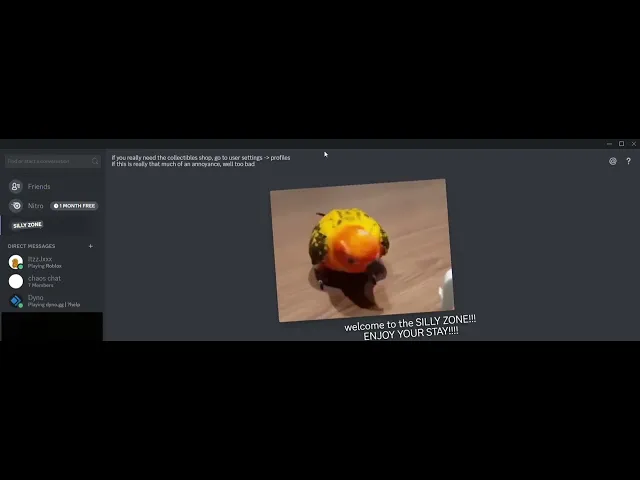 Video thumbnail for What happens if you click on the silly zone?