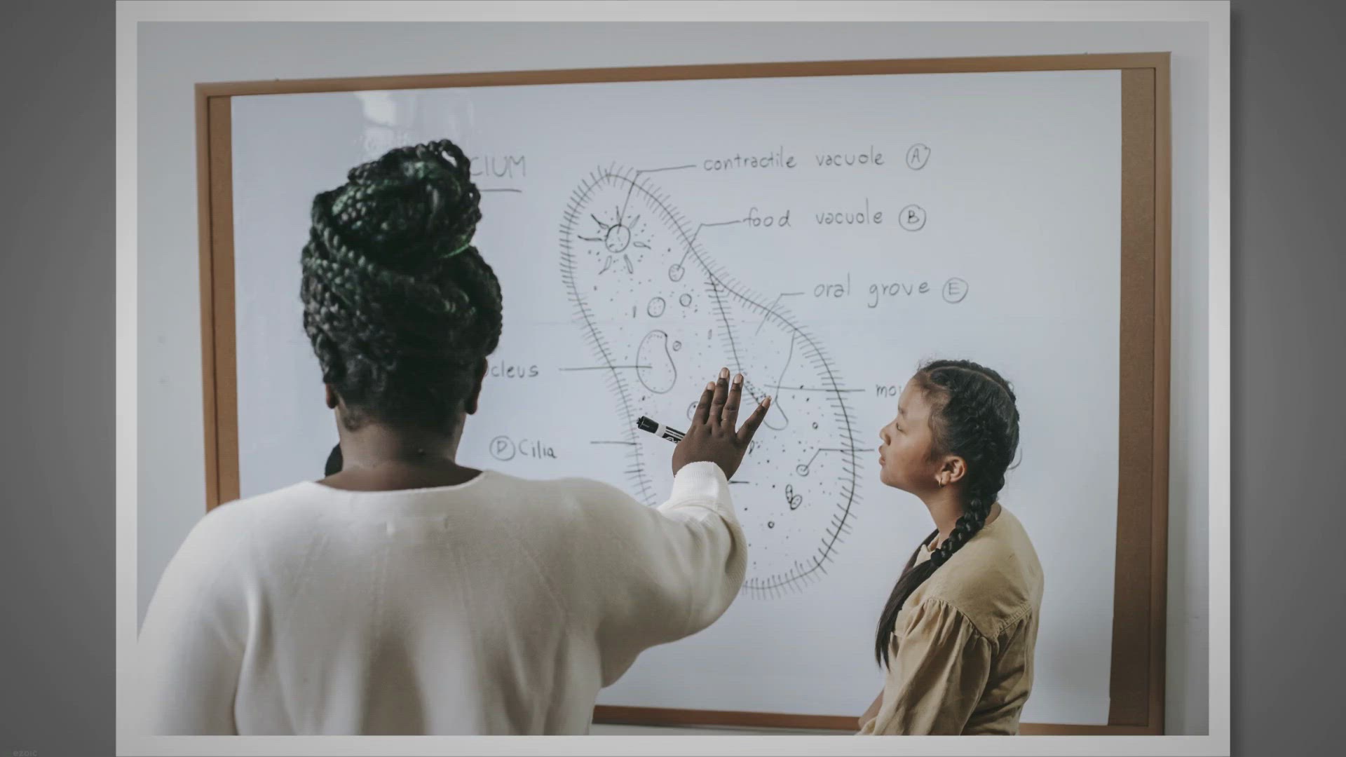 'Video thumbnail for Understanding the Sociology of Race and Ethnicity: A Comprehensive Overview'