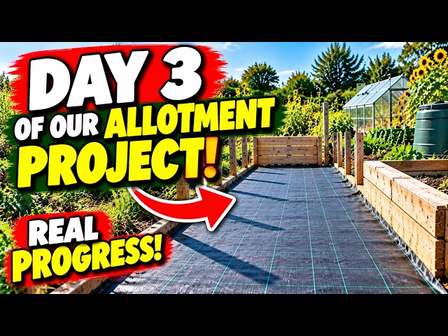 Video thumbnail for DAY 3 of Our Allotment Transformation! | What a Difference Already!