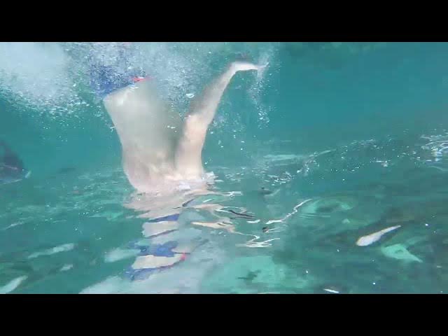 Video thumbnail for 🤿 Snorkeling in Coron, Palawan — Crystal Clear Water & Stunning Coral Reefs 🇵🇭🐠