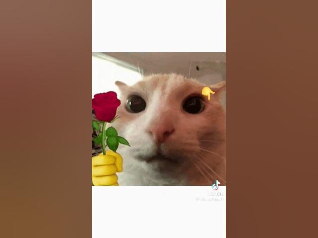 Video thumbnail for #lifeisbutadream #football