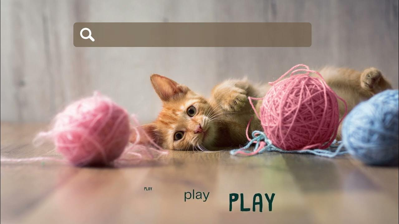 Video thumbnail for De leukste huisdieren vind je op allesovermijnhuisdier.nl