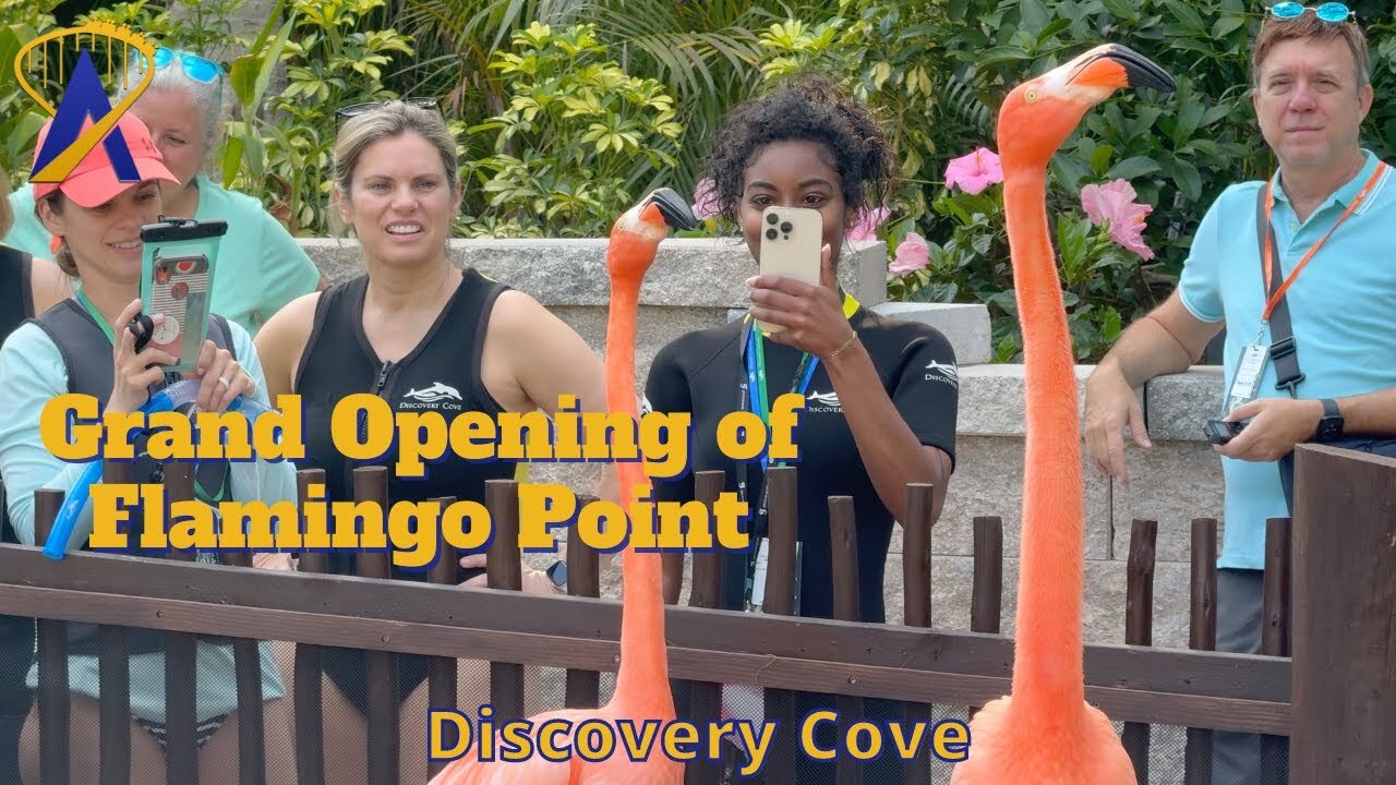 'Video thumbnail for Opening of Flamingo Point at Discovery Cove'