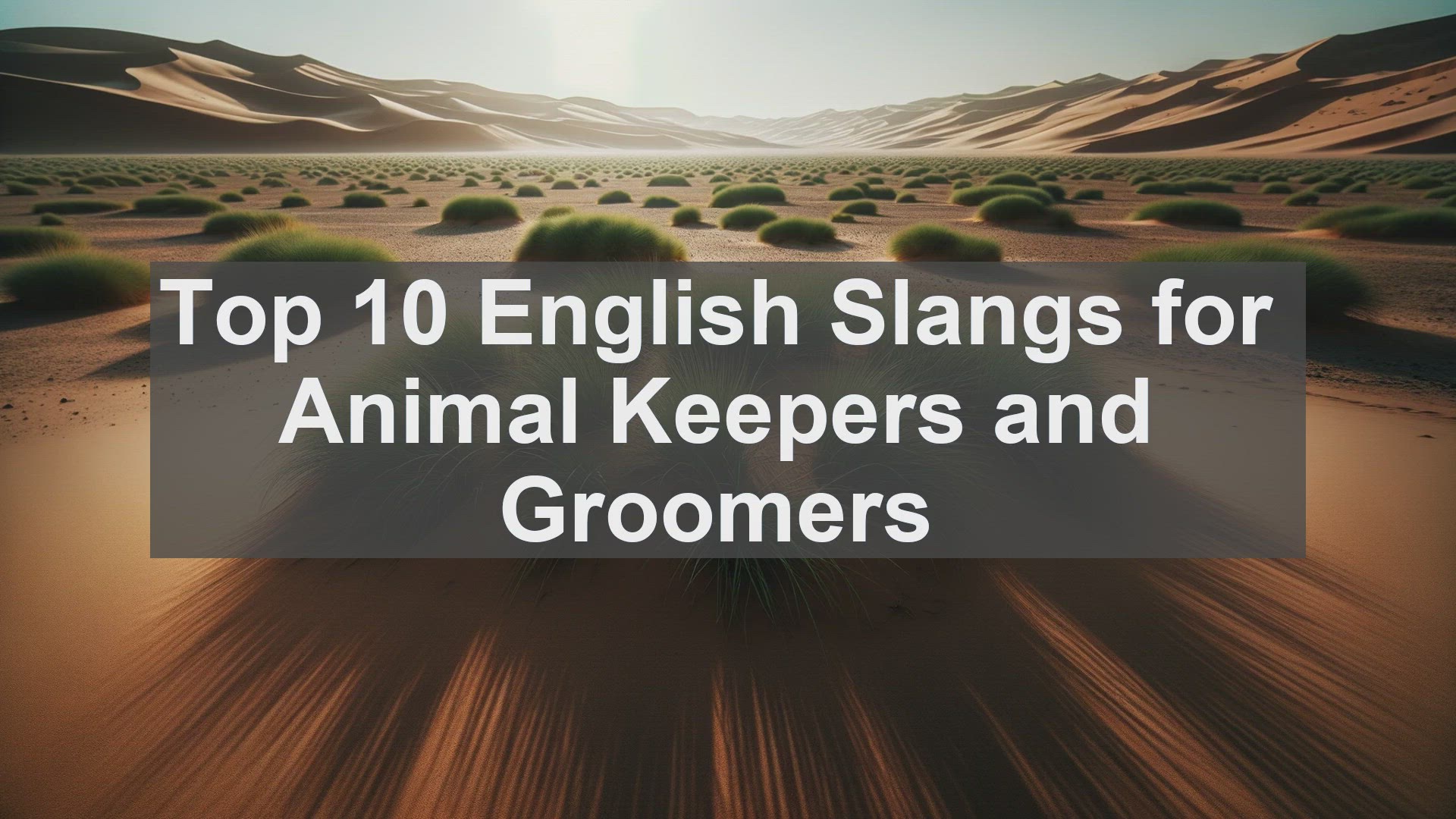 'Video thumbnail for Top 10 English Slangs for Animal Keepers and Groomers'