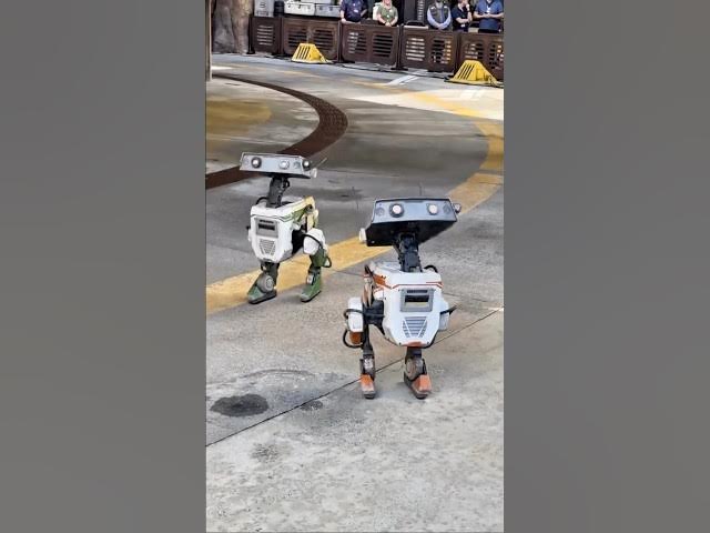 'Video thumbnail for BDX Droids Have Arrived at Walt Disney World!'