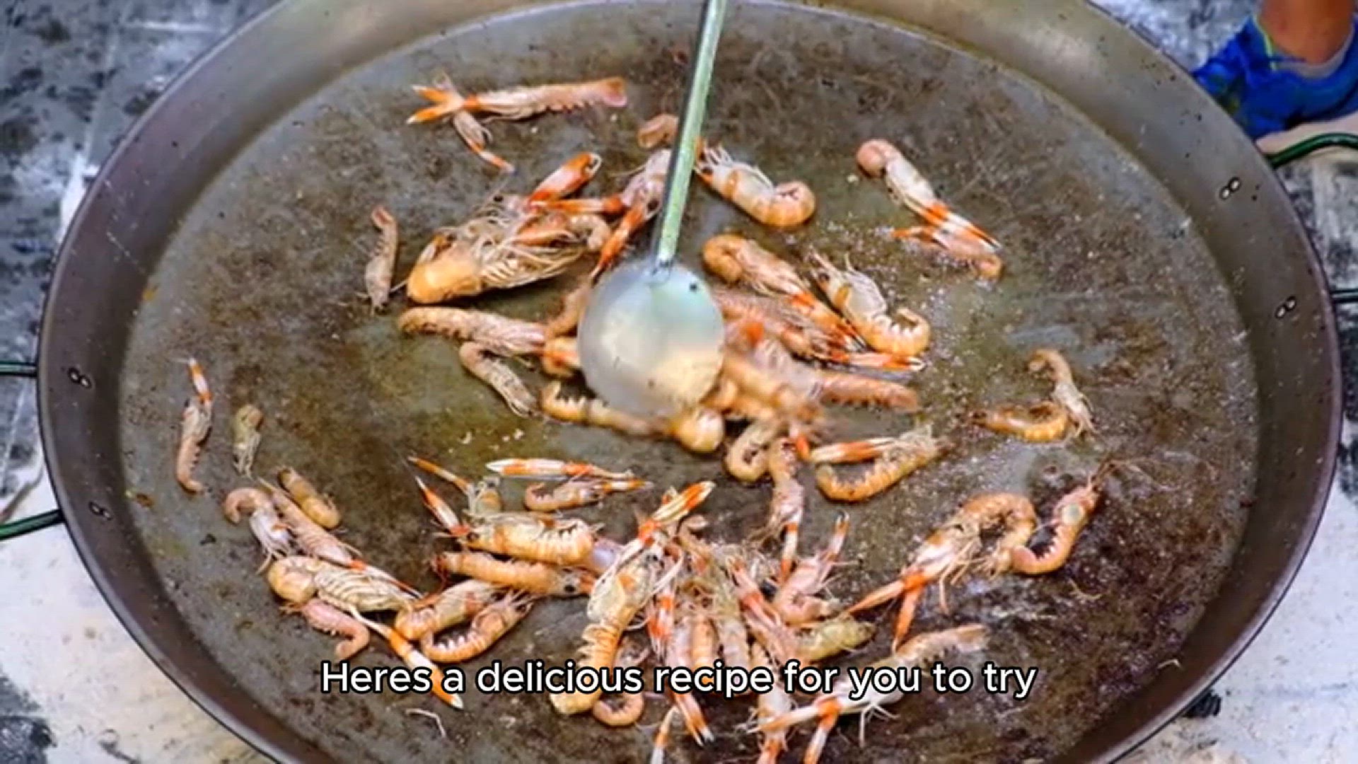 Video thumbnail for shrimp grits recipe