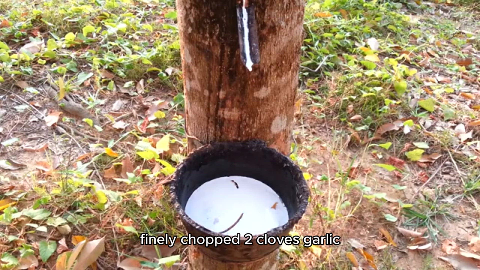 Video thumbnail for arancini recipe