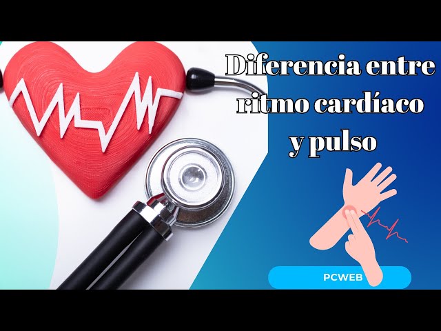'Video thumbnail for Diferencia entre ritmo cardiaco y pulso'