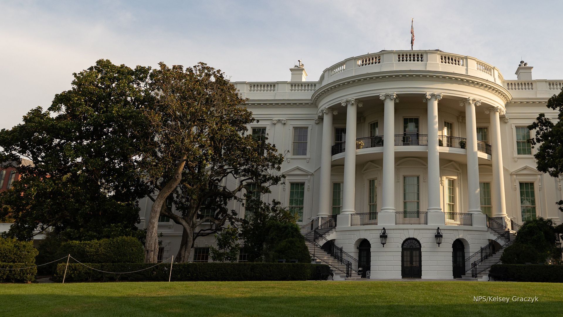 Video thumbnail for Why is Trump removing the Jackson Magnolia tree from the White House?