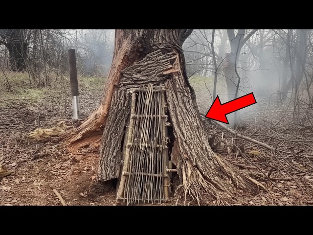 Video thumbnail for Young Woman Lives in a Tree, You Have To See The Inside Before You Judge