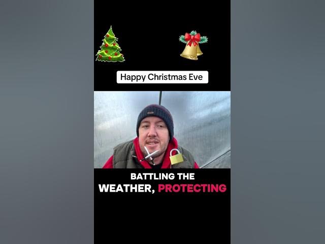 Video thumbnail for 🎥 ✅ 🎄 Happy Christmas Eve from the Allotment 🌱 | Festive Gardening Message