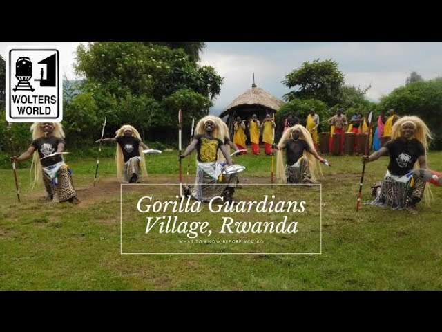 'Video thumbnail for The Gorilla Guardians Village in Rwanda'