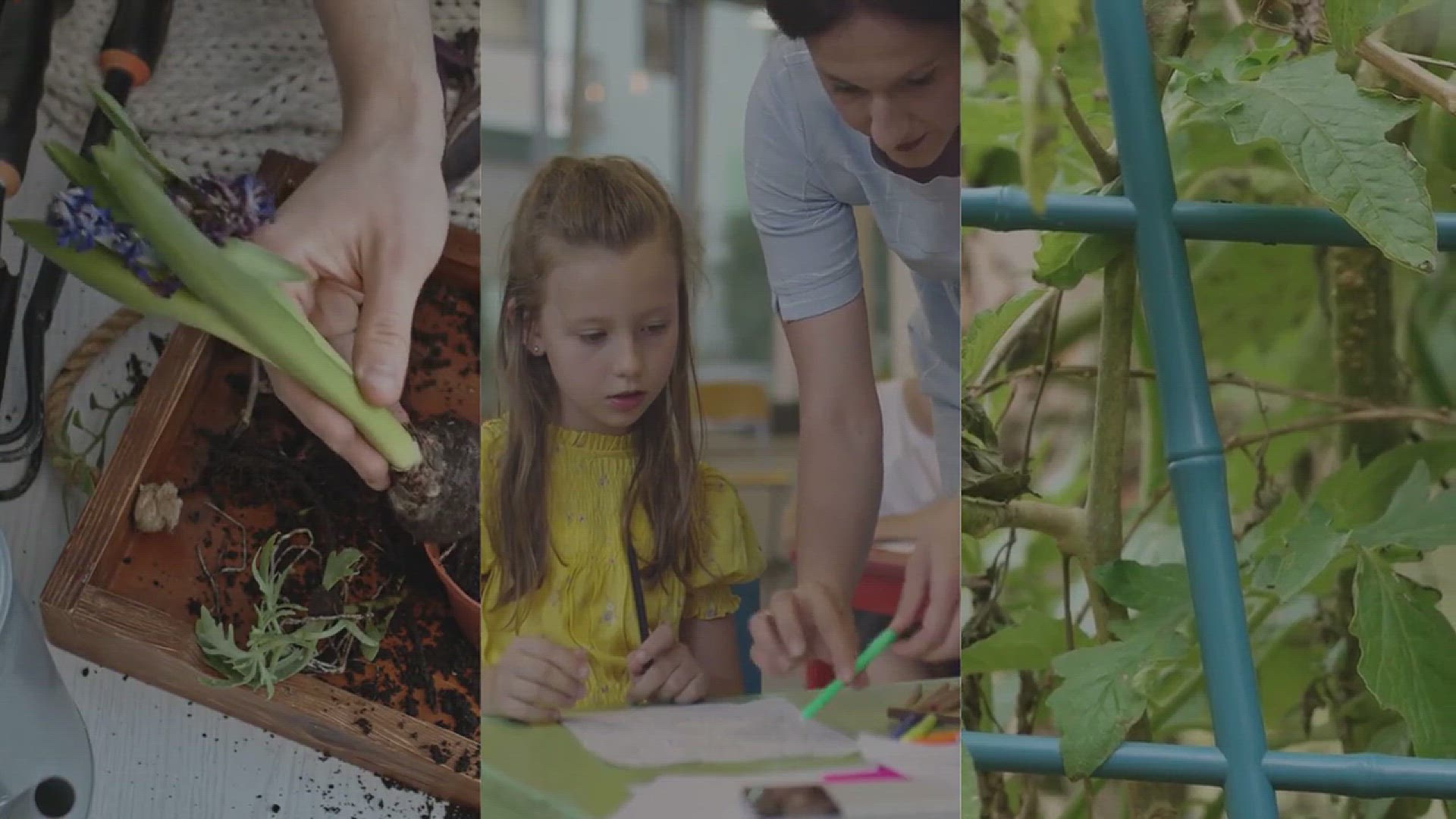 'Video thumbnail for Garlic Plants Creative Ideas for Your'