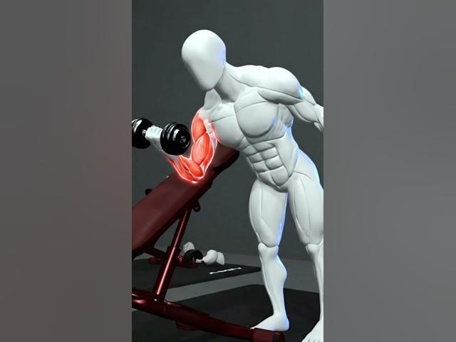 Video thumbnail for Biceps Grow Faster With Preacher Curls