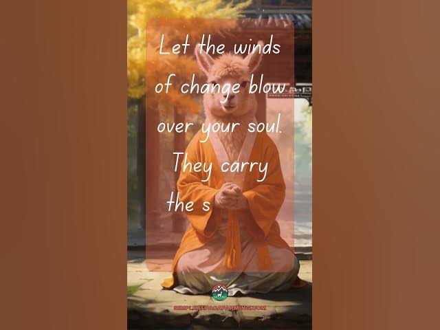 Video thumbnail for Winds of Change #alpaca #alpacawisdom #meditation #llama #quotestoliveby  #inspirationalquote