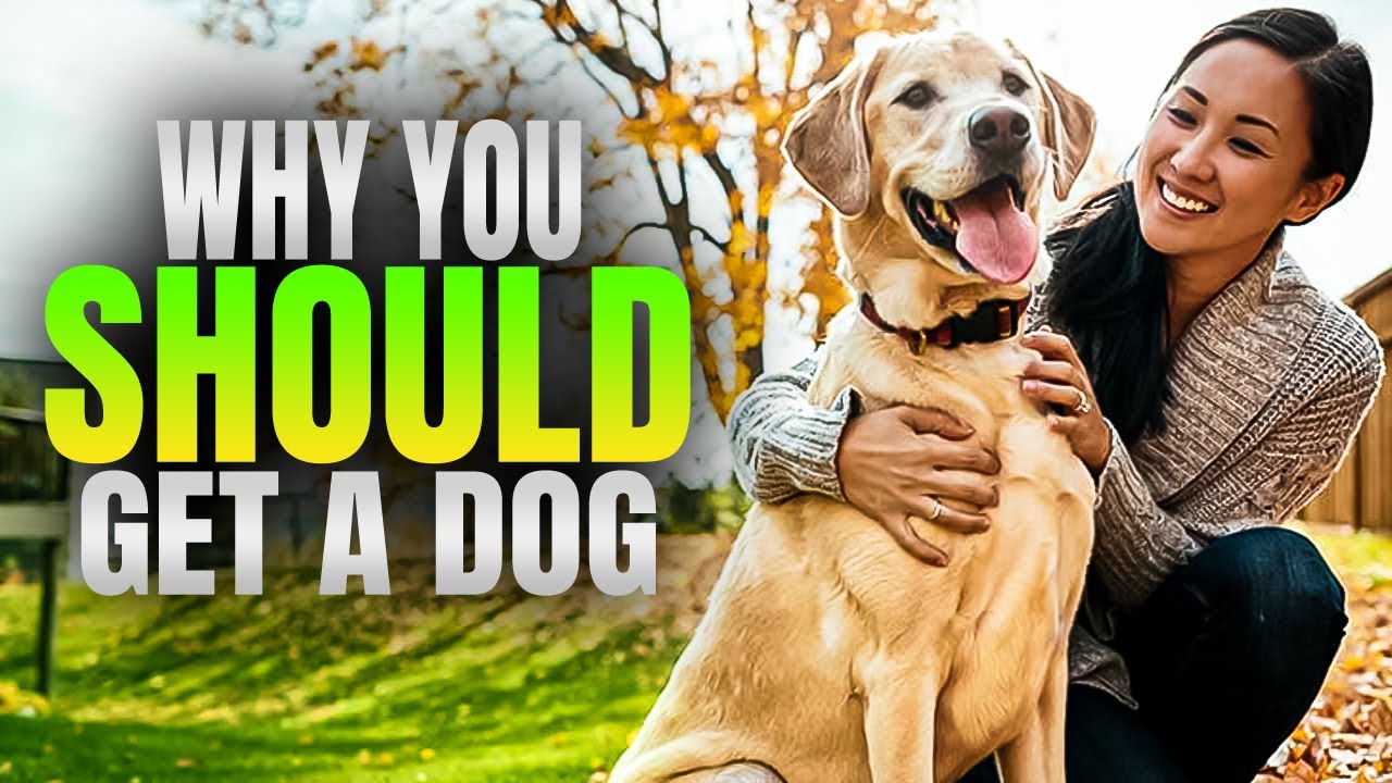 Video thumbnail for Top 10 Reasons to Adopt a Dog