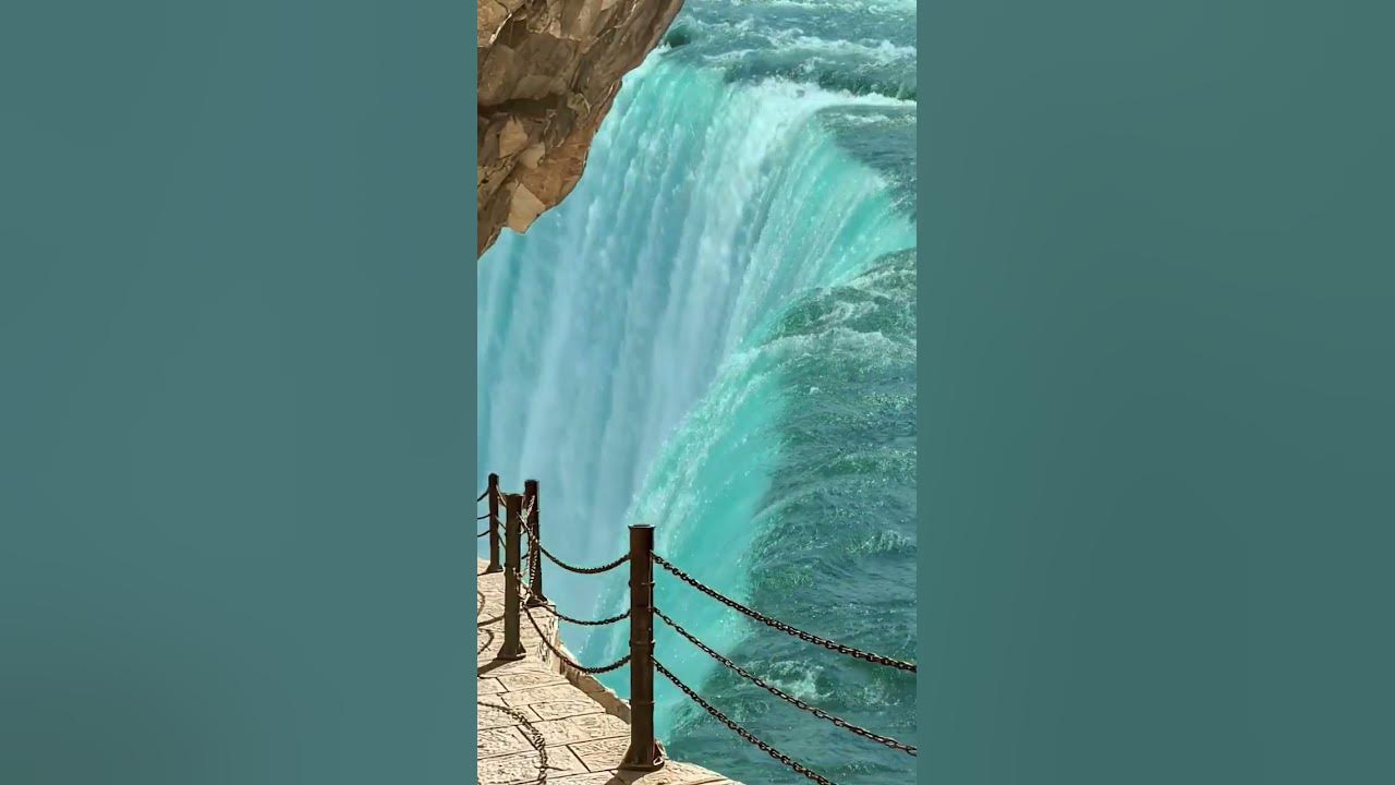 Video thumbnail for #nature butterfly #status #whatsappstatus #reels #omxmedia