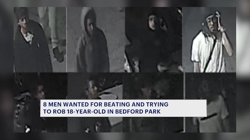 Video thumbnail for 8 men wanted for beating 18-year-old during Bedford Park attempted robbery