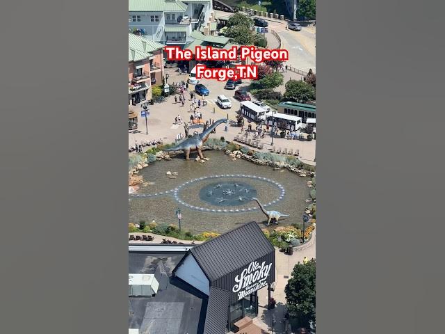 Video thumbnail for The Island Pigeon Forge,Tn     #pigeonforge