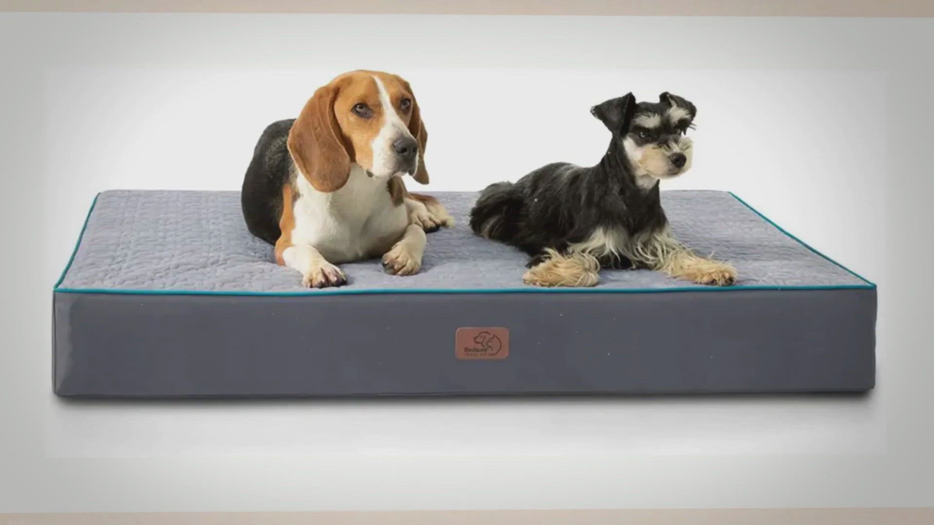 Video thumbnail for What is an Orthopedic Dog Bed and Why Does Your Dog Need One?