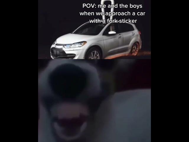 Video thumbnail for late memeposting