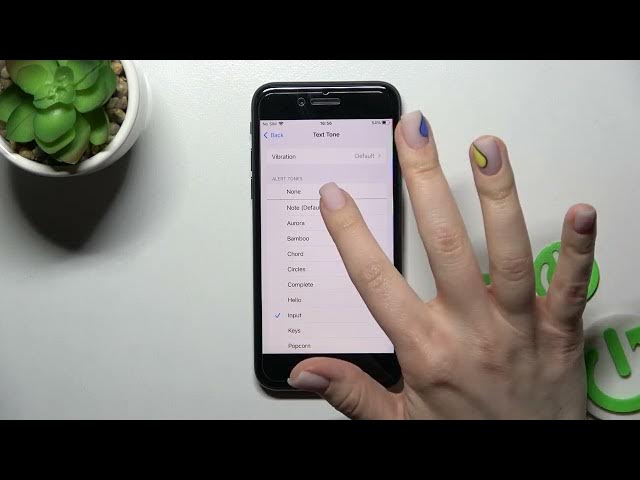 Video thumbnail for How to Mute Notifications in iPhone SE 2022 – Disable Notification Sound