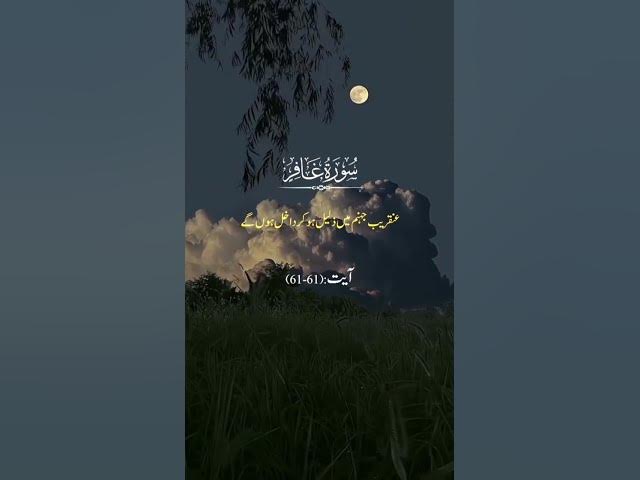 Video thumbnail for beshak ♥️