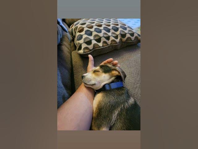 Video thumbnail for when he was a baby