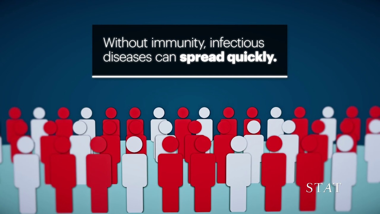 Video thumbnail for How herd immunity works