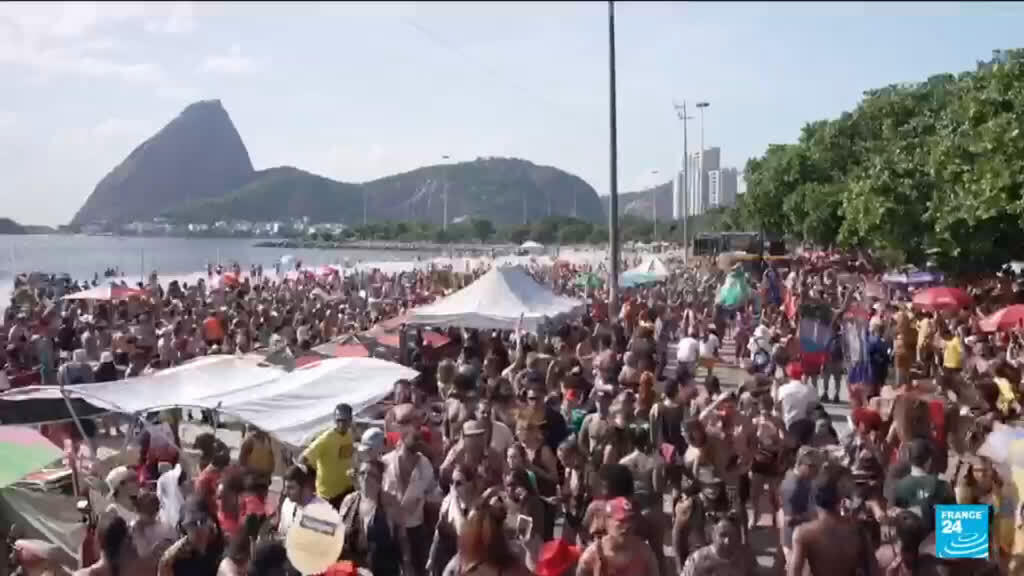 Video thumbnail for Brazil: Dogs join Rio Carnival parade