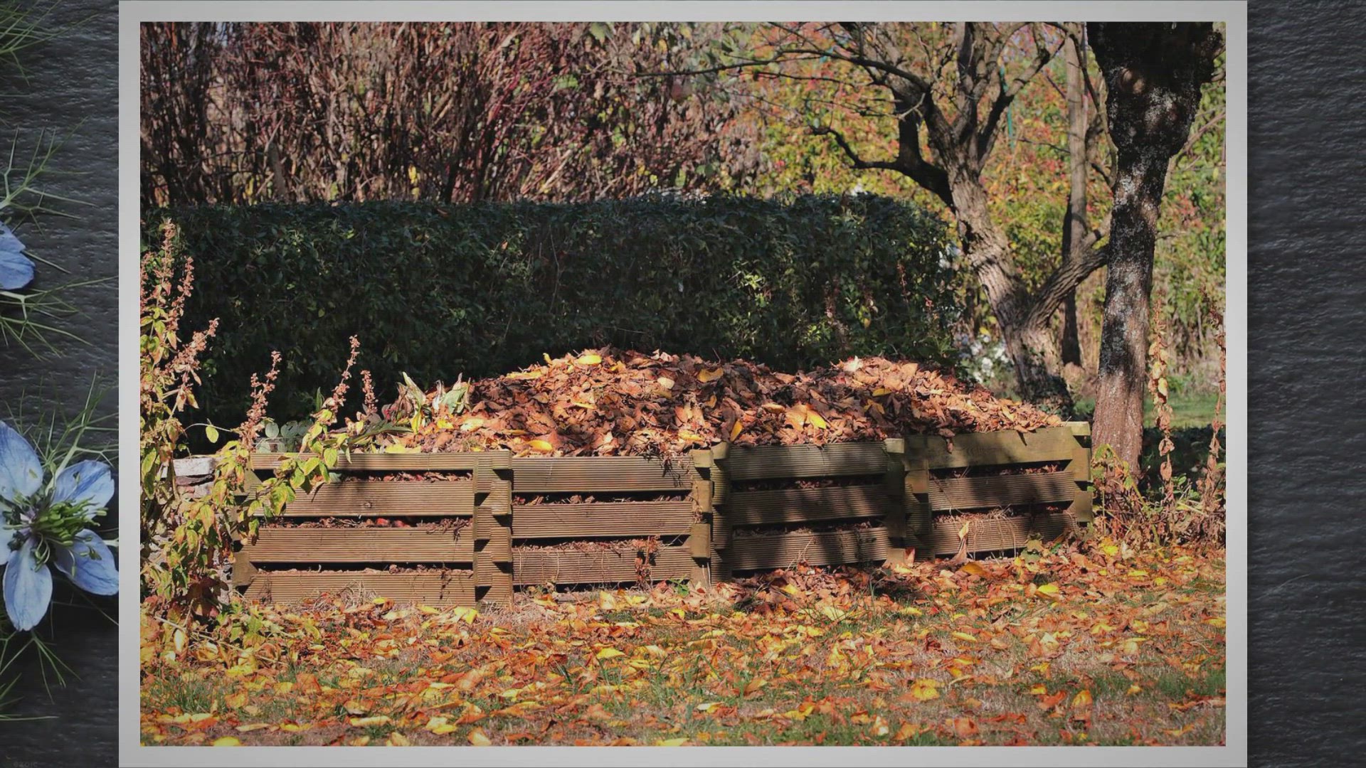 Video thumbnail for From Stinky to Sweet: The Science of Compost Odor and How to Achieve Odorless Compost