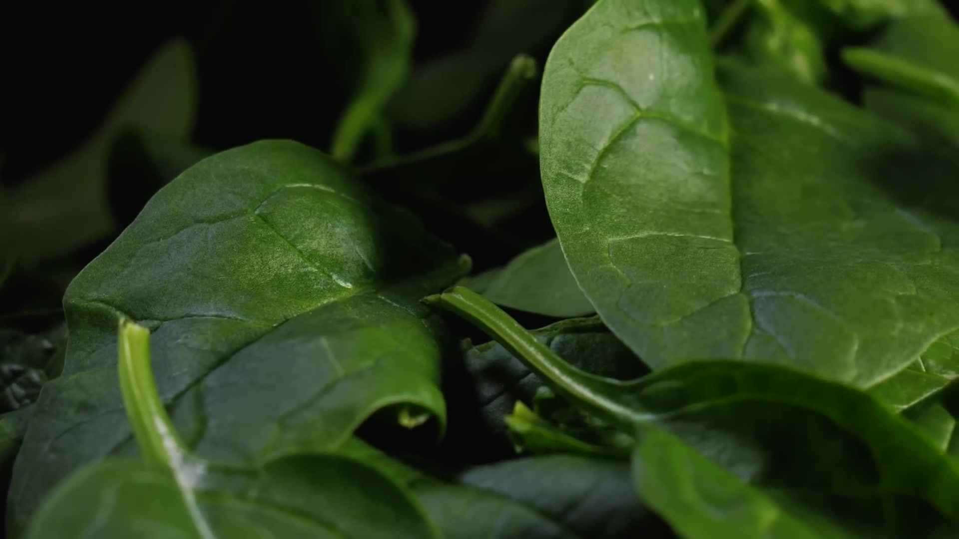 Video thumbnail for Mistakes People Make When Cooking Spinach