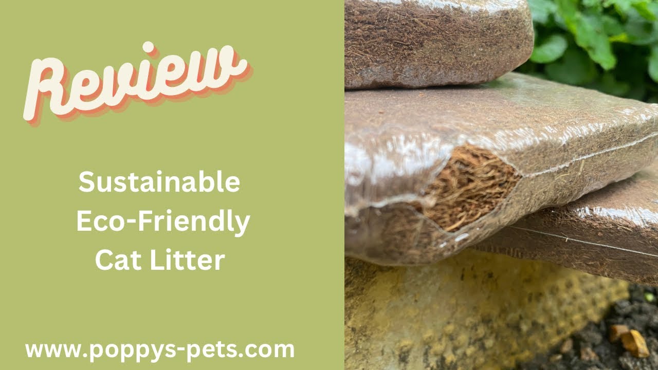 'Video thumbnail for Part 1: Huskaloo Use Coconut Fibre Cat Litter: Odour-Free, Natural, Sustainable -Change Every 7 Days'