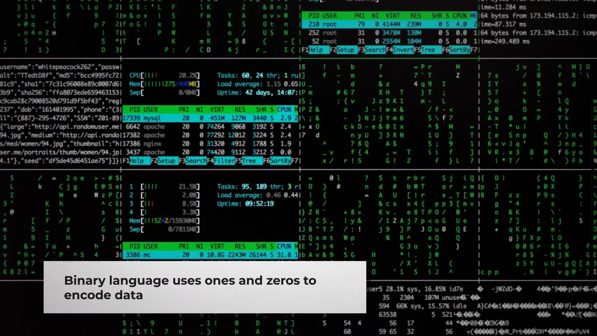 Video thumbnail for How Computers Work: From Tiny Switches to Powerful Processors