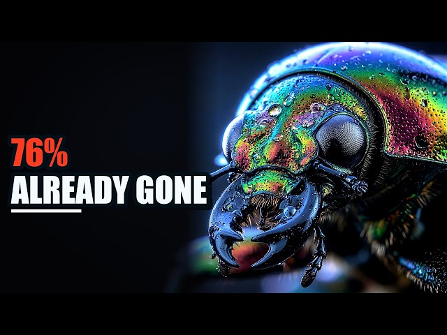 Video thumbnail for What If All Insects Disappeared Tomorrow